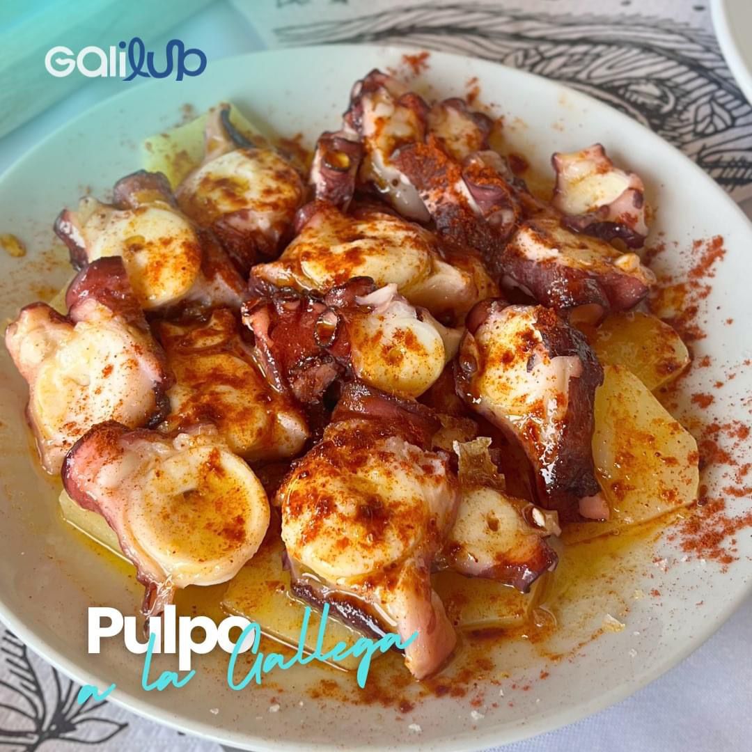 Ración de Pulpo Cocido en Plato